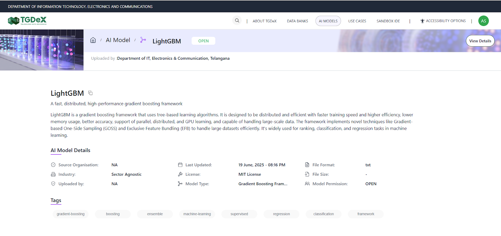AI Models detail page